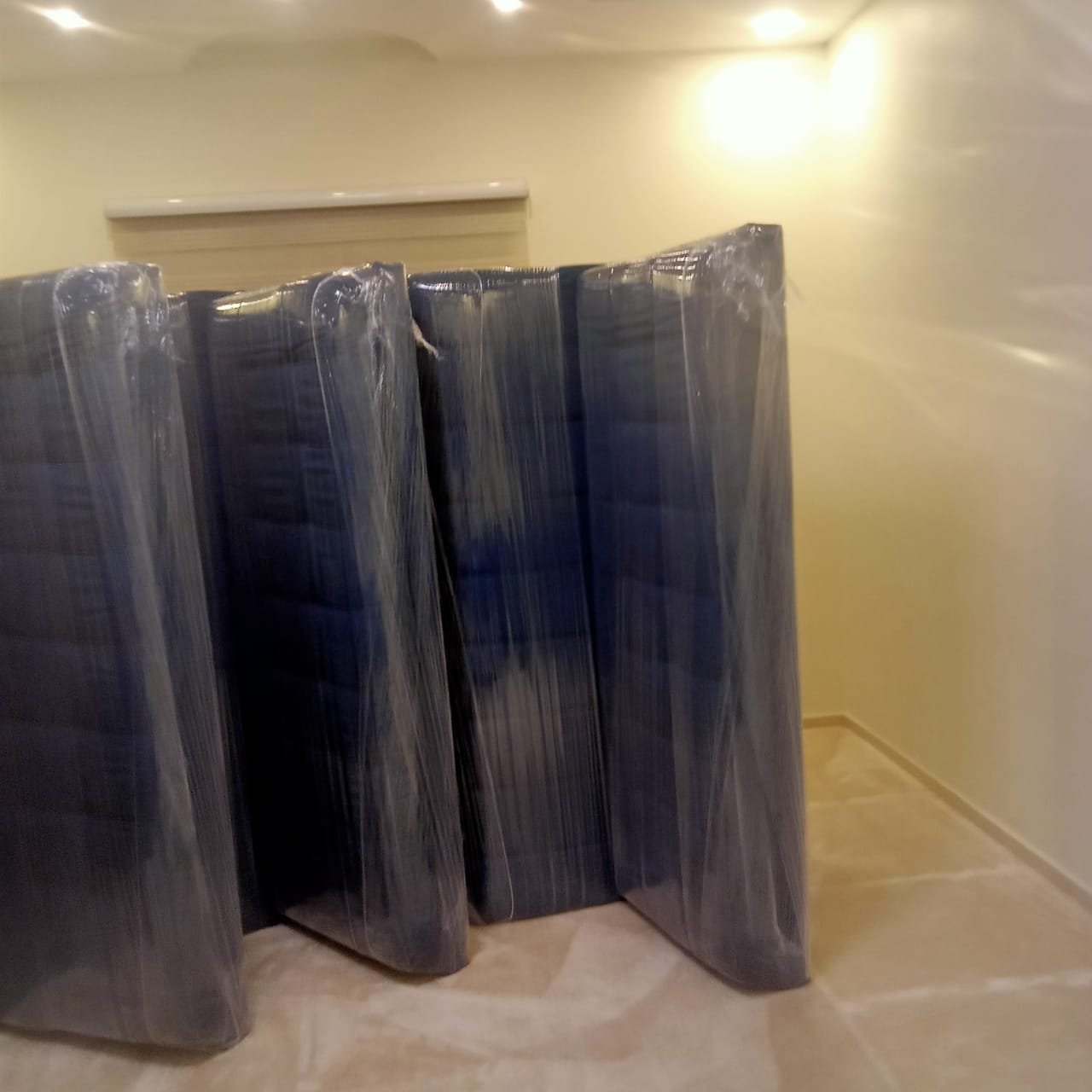 About whatsapp-image-2025-08-10-at-55902-am-2